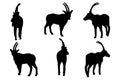 black and white set vector antelop, gazelle silhouette isolated on white background