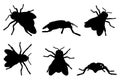 black and white set vector fly insect silhouette isolated on white background Royalty Free Stock Photo