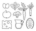 Black and white set of vector healthy food and drink icons. Outline vegetable, milk products, fruit, berry, fish illustration. Royalty Free Stock Photo