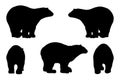 black and white set vector polar bear silhouette isolated on white background Royalty Free Stock Photo