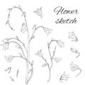 Black and white set of wildflowers. Vector sketch drawn in ink of flower branches on a white background Royalty Free Stock Photo