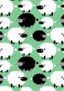 Black and white sheep.