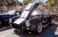 Black and white 1965 Shelby Cobra