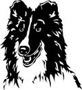 Black and White Shetland Sheepdog Illustration