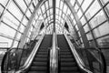 Black and white shot of escalators traveling in a downward direction in a commercial building Royalty Free Stock Photo