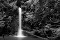 Black and white shot of fresh waterfall in the luxuriant jungle of the Doi Suthep national park, Thailand Royalty Free Stock Photo