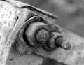Black and white shot of a nut and bolt Royalty Free Stock Photo