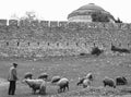 A black and white shot a shepherd in Azerbaijan - Mountains - QUBA - MOUNTAINS Royalty Free Stock Photo