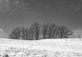 Black and white shot of snow-covered trees and hills in a winter landscape