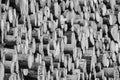 Black and white shot of a stack of sawn spruce wood logs in a forest in sunlight