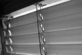 Black and White Shutter Blinds Closeup Royalty Free Stock Photo