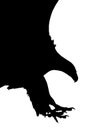 Black and white silhouette of an attacking eagle with open claws and open beak Royalty Free Stock Photo