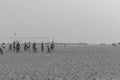 Black and white silhouette of group of friends and family having peaceful and leisure time