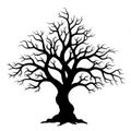 Black And White Silhouette Of A Leafless Tree Royalty Free Stock Photo