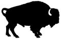 Black and white silhouette of a male American bison. Royalty Free Stock Photo