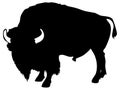 Black and white silhouette of a male American bison. Royalty Free Stock Photo