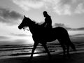 Black and white silhouette of a man riding a horse on a sandy beach under a cloudy sky during sunset