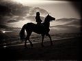 Black and white silhouette of a man riding a horse on a sandy beach under a cloudy sky during sunset Royalty Free Stock Photo