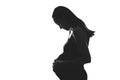 Black and white silhouette portrait of pregnant woman with hands on belly on white background Royalty Free Stock Photo