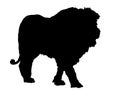 Male Lion Silhouette ~ Royalty Free Stock Photo
