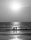 Black and white Silhouette of an unrecognizable young couple standing together on a golden beach looking towards a setting sun Royalty Free Stock Photo