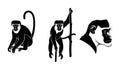 Black and white silhouettes of a monkey sitting, climbing, and head profile primate Royalty Free Stock Photo
