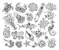 Black and white silhouettes of sea inhabitants. Vector. Stencils.