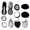 Black and white silhouettes of tropical fruits and their halves isolated on white. Pineapple, coconut, kiwi