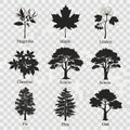 Black and white silhouettes of various types of trees and plants Royalty Free Stock Photo