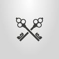 Simple vector pictogram of two crossed abstract retro style keys