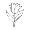 Black and white single tulip flower for coloring book