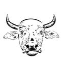 Black and white sketch of a asian cow's face Royalty Free Stock Photo