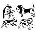 Black and white sketch of a beautiful basset,terrier, buldog, animal dods pattern on a background drawing picture Flat vector