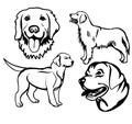 Black and white sketch of a beautiful basset,terrier, buldog, animal dods pattern on a background drawing picture Flat vector