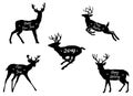 Black & White sketch Christmas Deer set silhouette in different poses