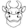 Black and white sketch of a cow`s face. Vector portrait. Royalty Free Stock Photo