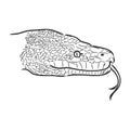 Black and white sketch of a snake snake python vector sketch Royalty Free Stock Photo