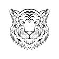 Black and white sketch of tigers head, face of wild animal hand drawn vector Illustration Royalty Free Stock Photo