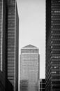 Black and white skyscraper Royalty Free Stock Photo