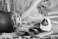 Black and white, slightly blurred photo with strong grain effect. One pumpkin watching with scared on other sliced pumpkin.