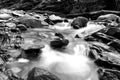 Black and White Slow Shutter Speed Photography of a Small River with Mossy Rocks in the Forest. Royalty Free Stock Photo