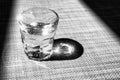 Black and white small glass of liquor, grappa glass