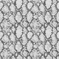 Black and white Snakeskin pattern