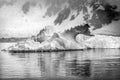 Black and White Snowing Floating Iceberg Reflection Paradise Bay Skintorp Cove Antarctica