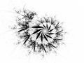 The Final Door Black and White Spiral Flame Fractal