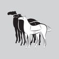 Black and white standing horses vector silhouettes