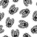 Black and White Steampunk Cicada Hand Drawn Seamless Pattern. Cicada Drawn by Crayon.
