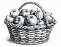 Black and White Stippled Illustration of Wicker Basket Full of Apples on White Background Royalty Free Stock Photo