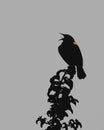 a black an dwhite of a silhouette of crow raven bird on a tree branch Royalty Free Stock Photo