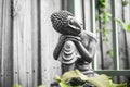 Black and white stone statue of sitting buddha in the garden Royalty Free Stock Photo